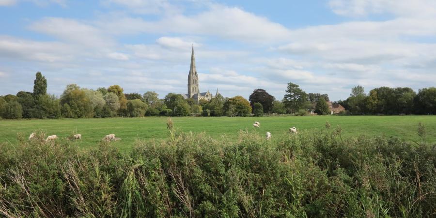 A view looking over the water meadows to Salisbury Cathedral