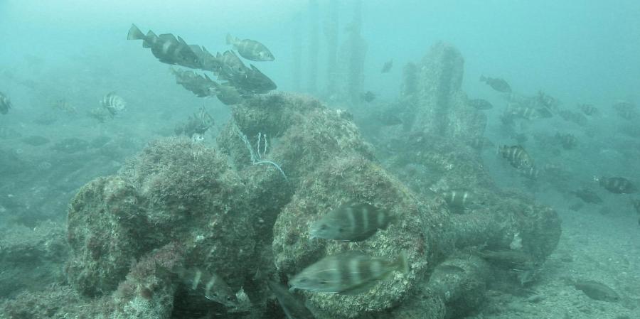 Wreck of the Concha investigated as part of the ALSF funded projects