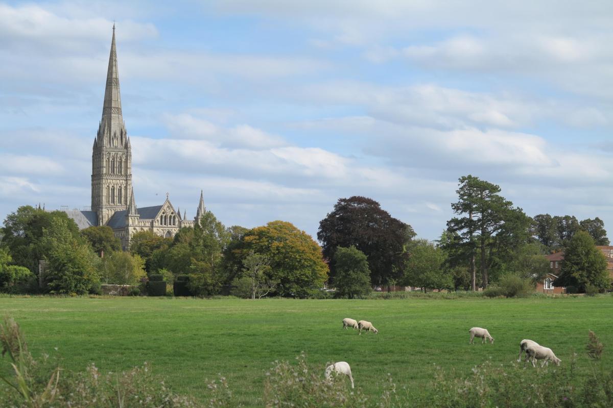 Salisbury's water meadows with cathedral in background