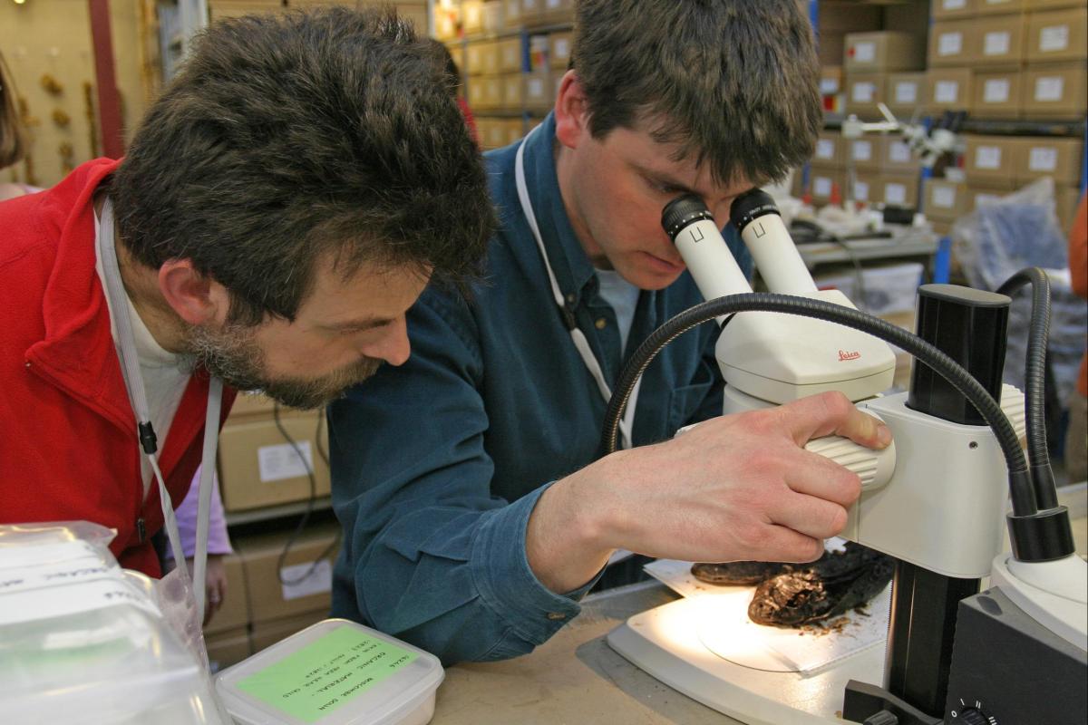WA staff looking at finds through a microscope 