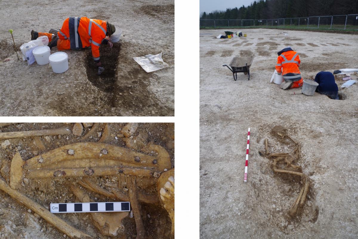 Excavating the Anglo-Saxon graves at Bulford and an Aglo-Saxon comb