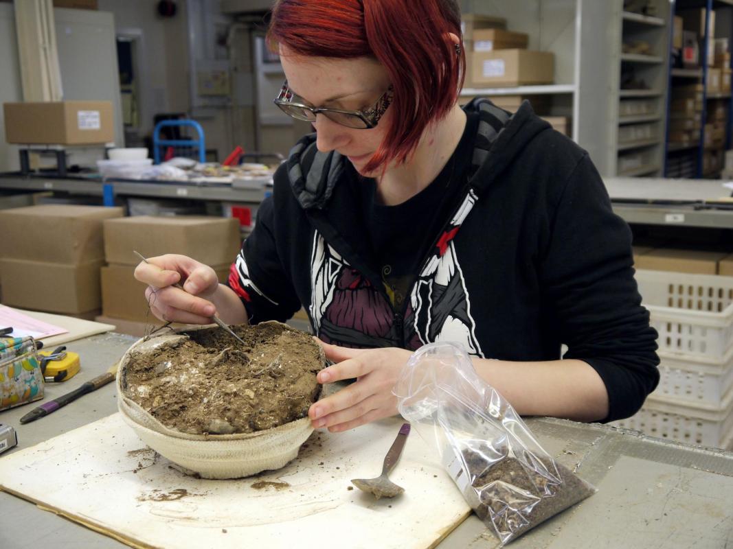 Osteoarchaeologist investigating pot
