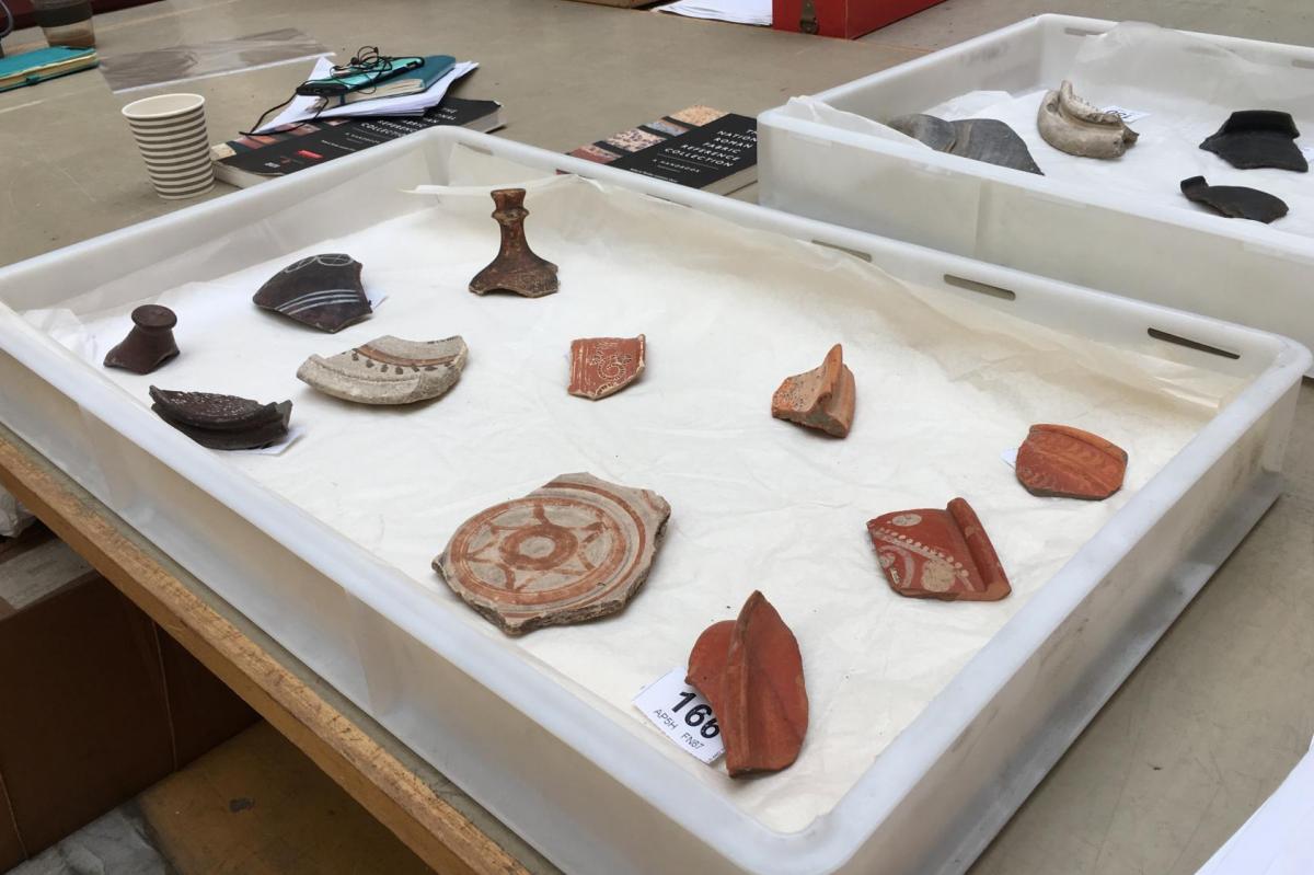 Roman pottery sherds set out on the familiarisation day
