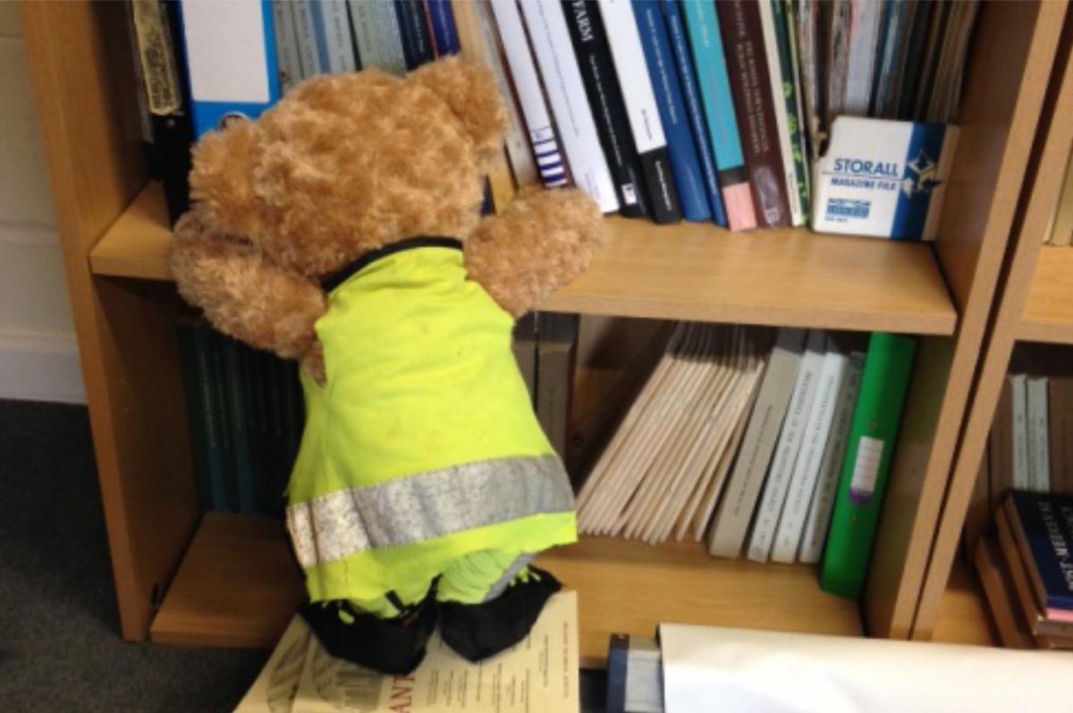 Kent Jones bear archaeologist helping the heritage team find a reference
