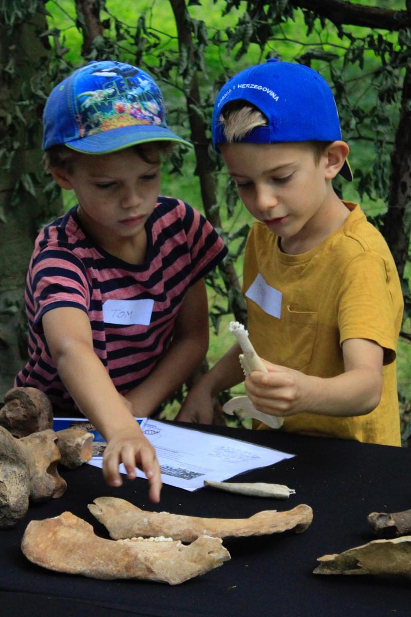 Young Archaeologists at Cuthbright Wood