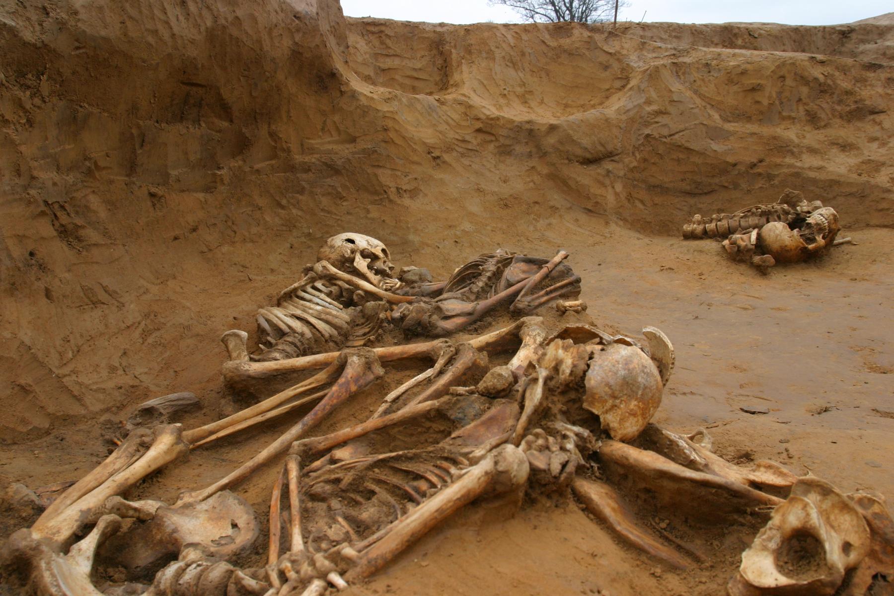 Unusual Isle of Thanet burial features in new documentary | Wessex