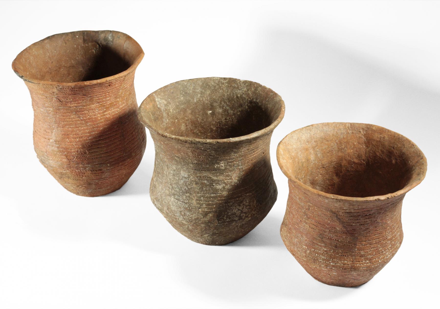 DNA study reveals scale of Bell Beaker migration into the British Isles