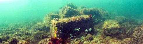 Marble blocks on the Tal-Y-Bont wreck site