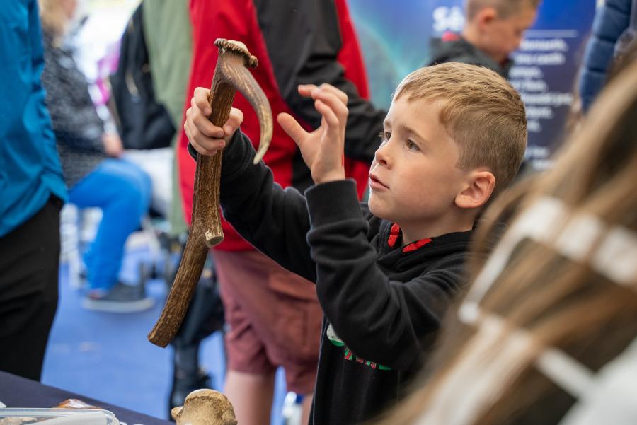A young boy examines a deer antler.