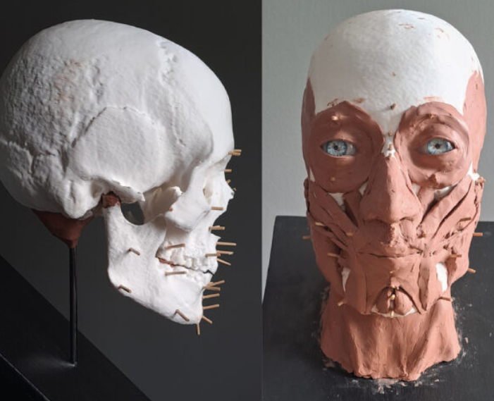 The facial reconstruction of the Kimmeridge woman.