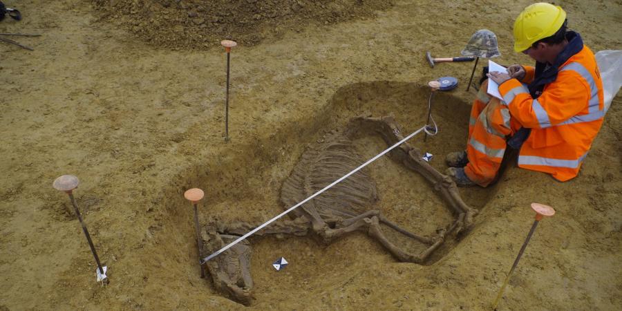 Recording a horse burial