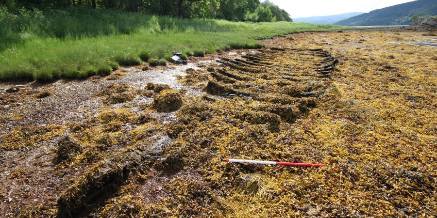 Intertidal wreck recorded during project SAMPHIRE, Scotland