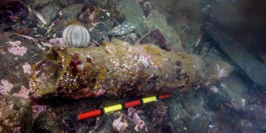 Iris wreck in NW Skye, recorded during project SAMPHIRE