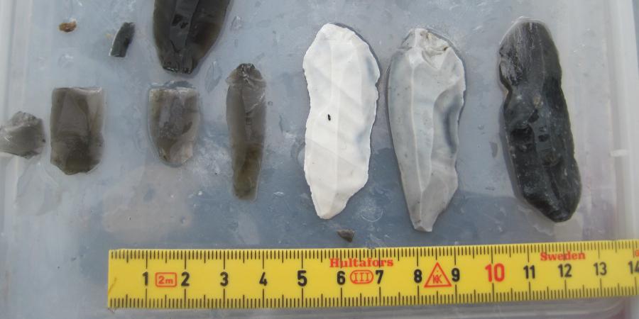 Flint identification guide