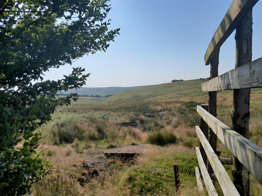 Alderman's Barrow Allotment before works. View from northern boundary gap.