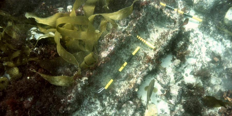 HMS Colossus canon on seabed