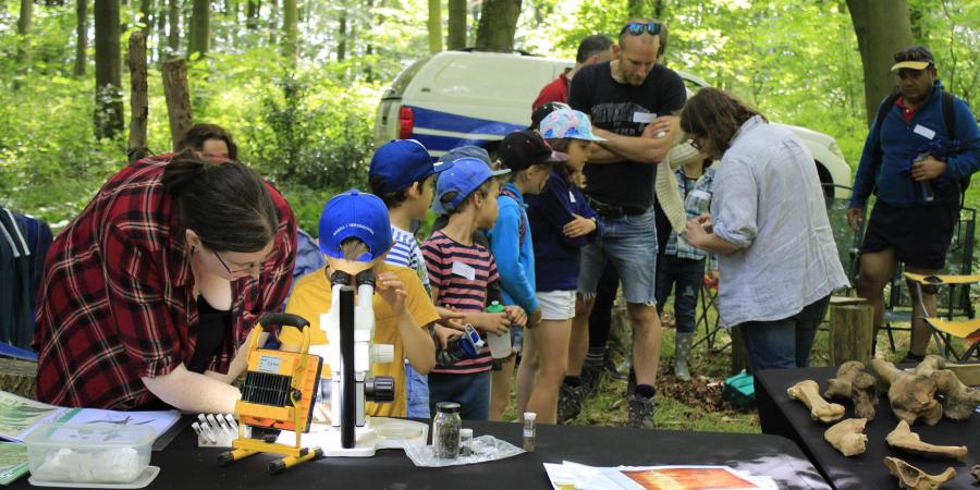 Archaeological replicas at Cuthbright Wood