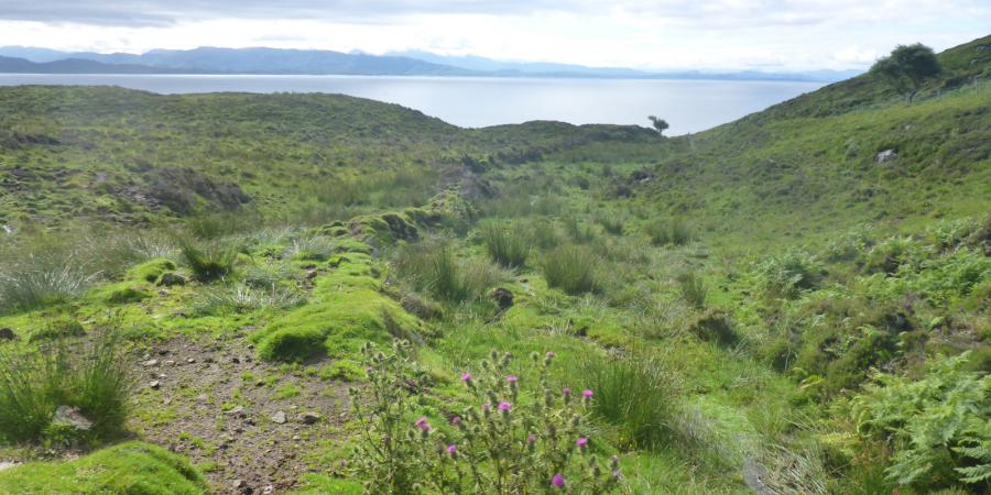 A scenic photograph of Skye