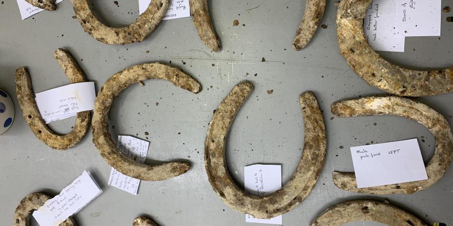 Early 20th century horse shoes found on Salisbury Plain, laid out on the table for local farriers to view