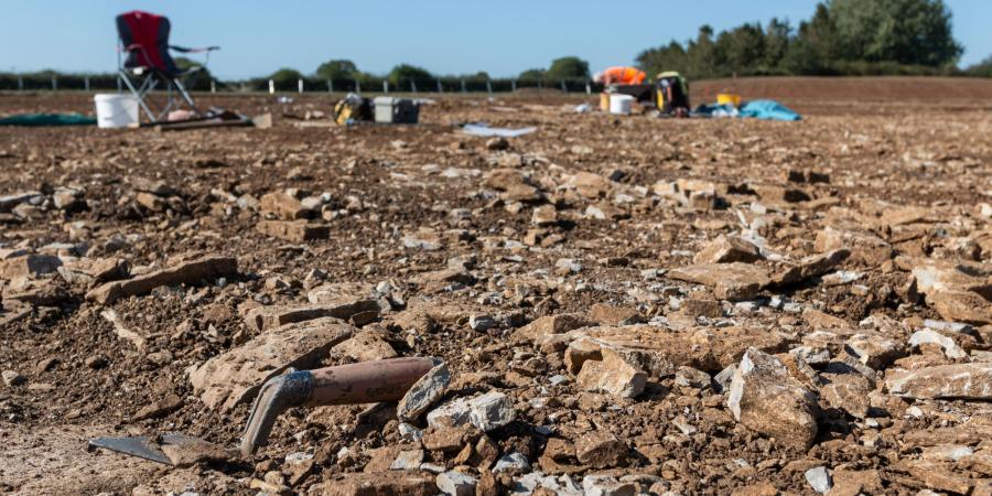 The site at Somerton, with trowel in foreground