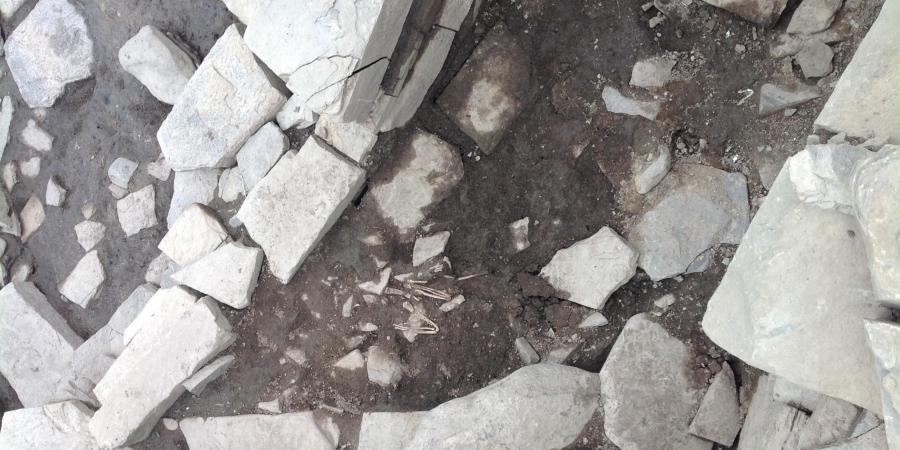 Bird skeleton buried in the Pictish levels at the entrance to the Neolithic chambered tomb