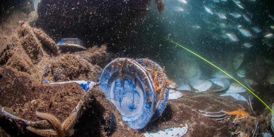 Captured underwater - Various ceramics including plates © Stefan Panis
