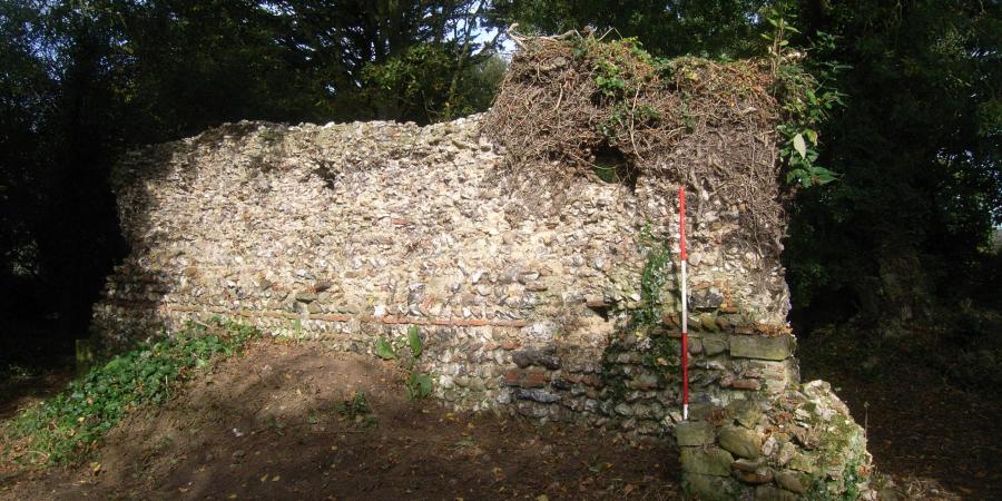 Upstanding wall at Blythburgh Priory
