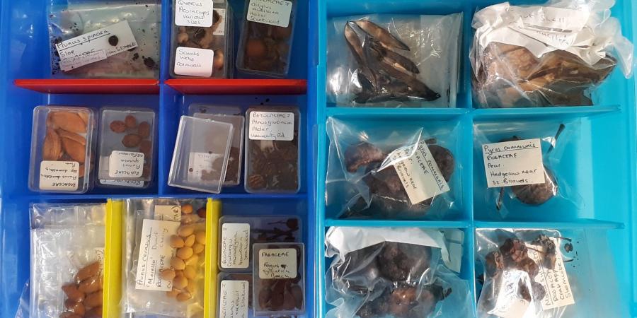 Legacy donation reference collection for the Environmental team