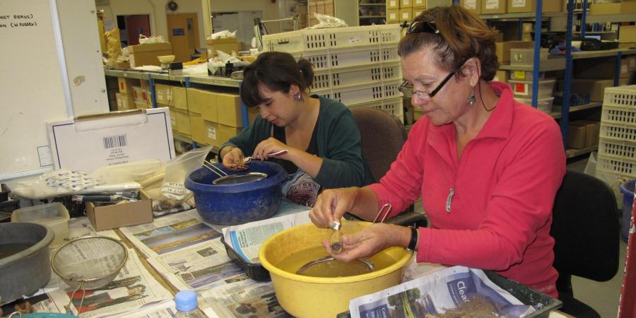 Volunteers washing finds in Wessex Archaeology's head office
