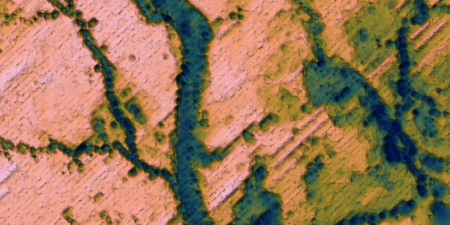 Abstract green veins of river meander through a light brown landscape with concentrations of bushy green blobs depicting trees and bushes