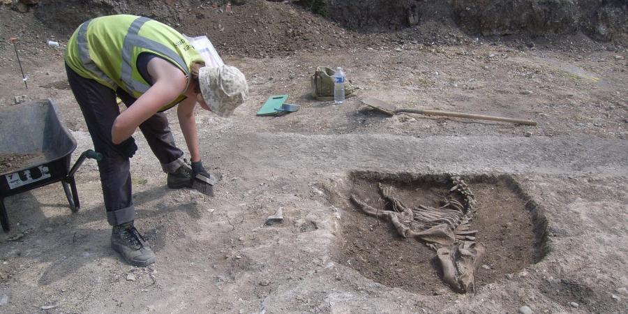 Excavation of an animal burial at MOD Durrington