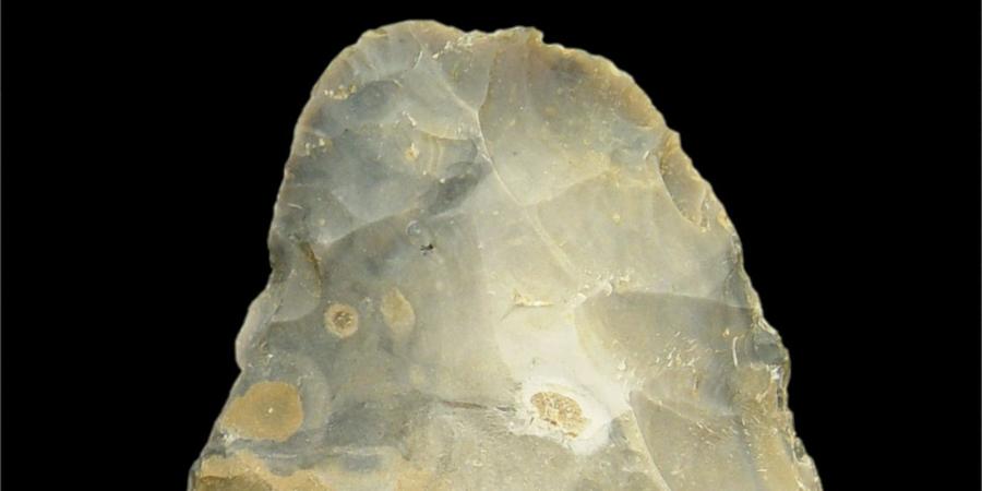 Neanderthal flint hand axe