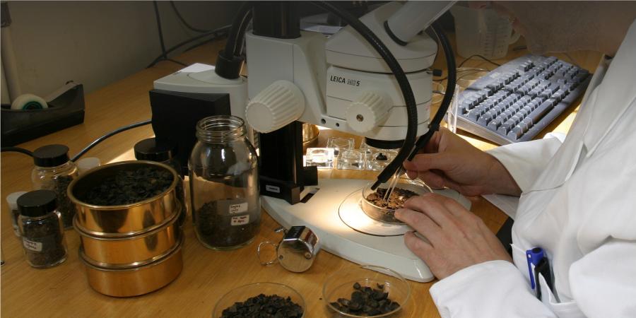 Looking down a microscope at environmental samples