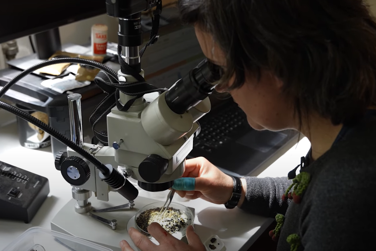 International Day of Women and Girls in Science 2023 | Wessex Archaeology