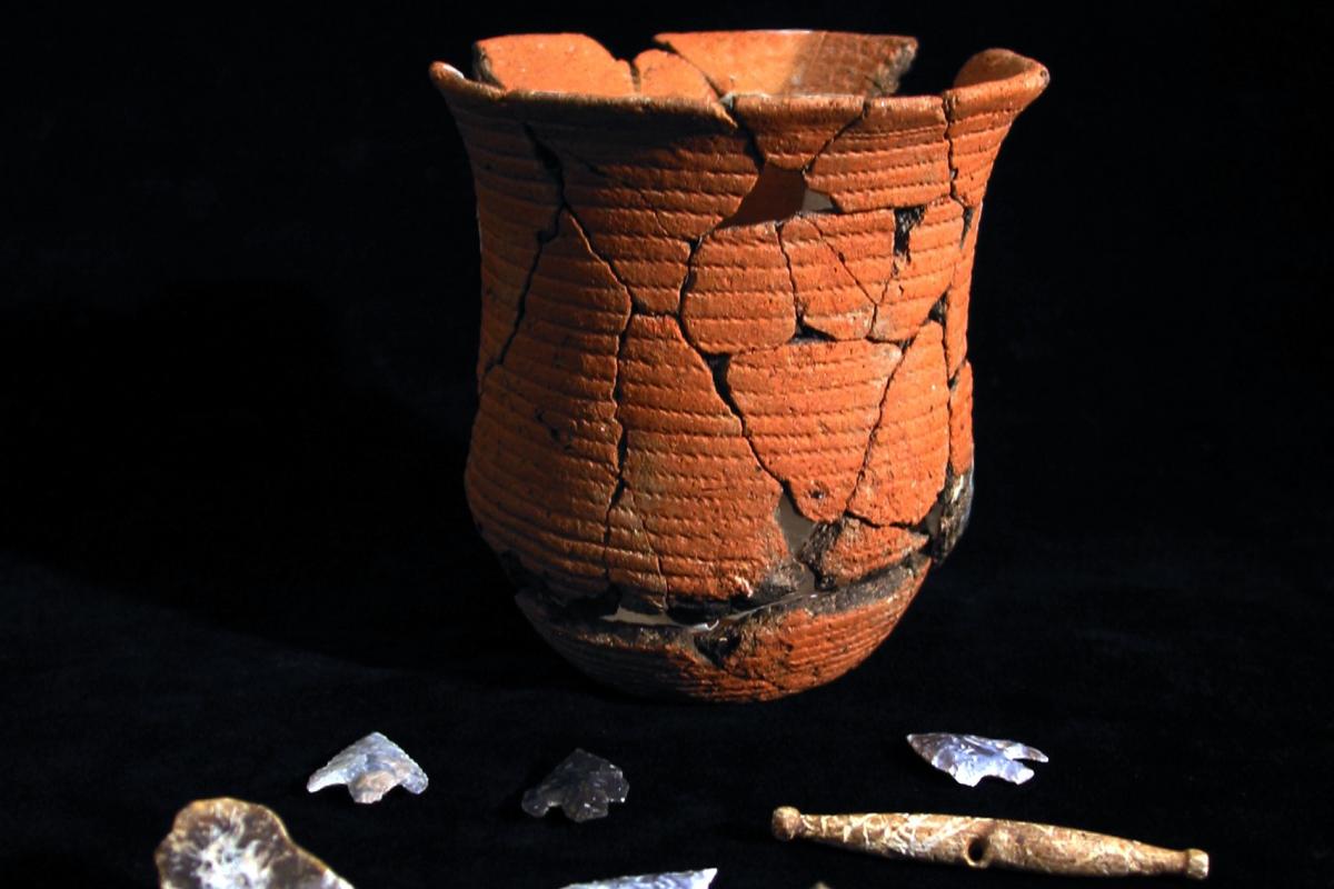 Beaker pot from the grave of the Boscombe Bowmen