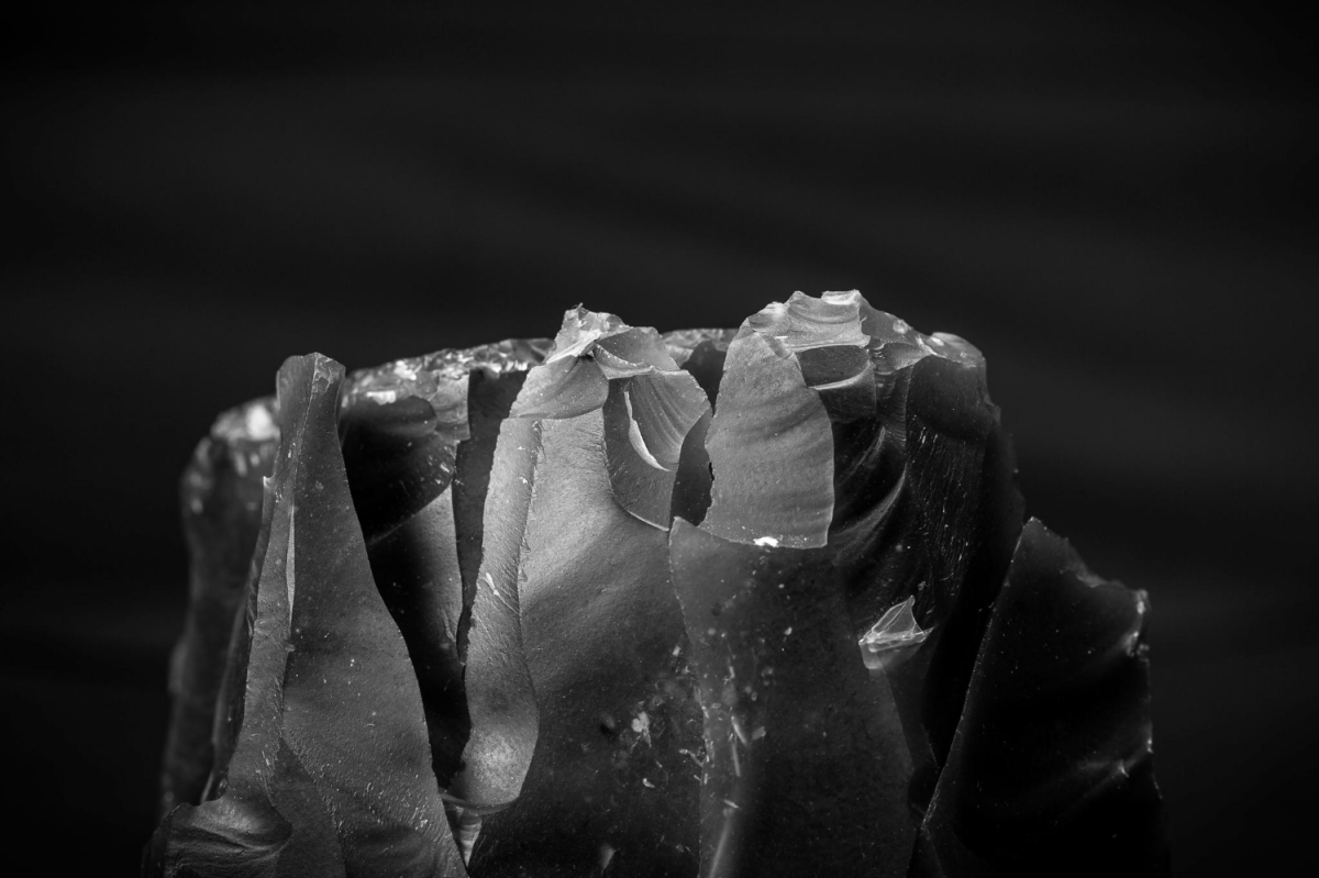 Photograph of flint, taken by Tom Westhead