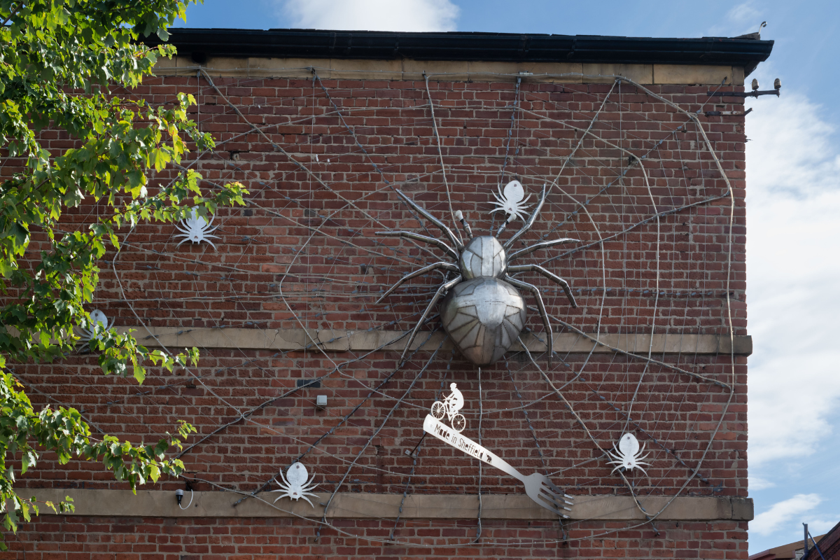 Spider’s Web by Johnny White