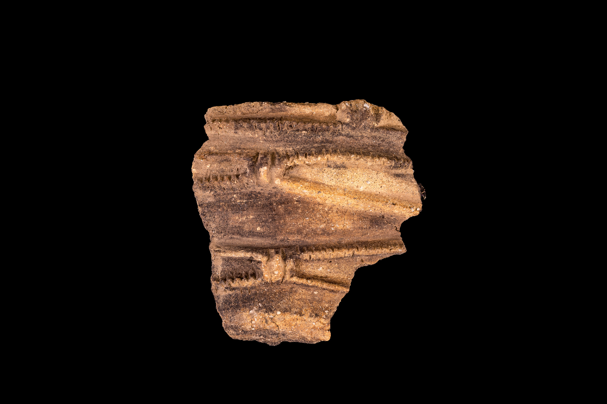 Neolithic pottery sherd from Stonehenge