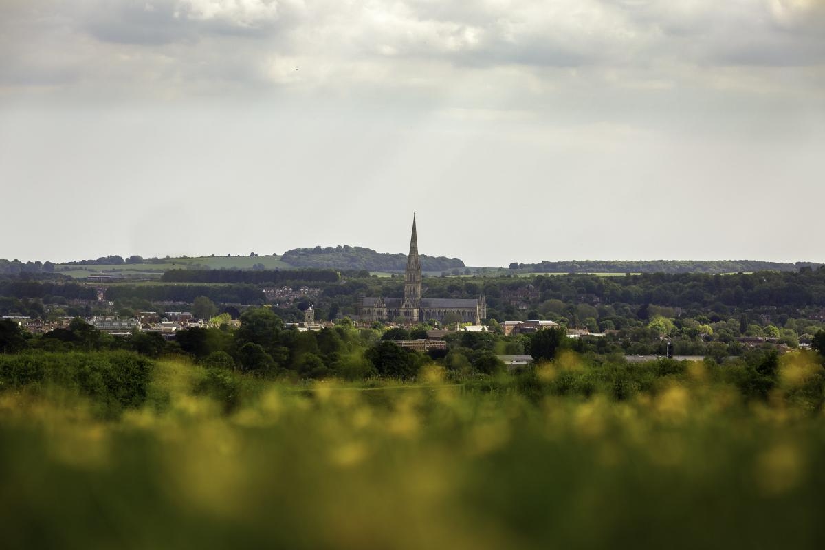 View of Salisbury, with Cathedral at centre