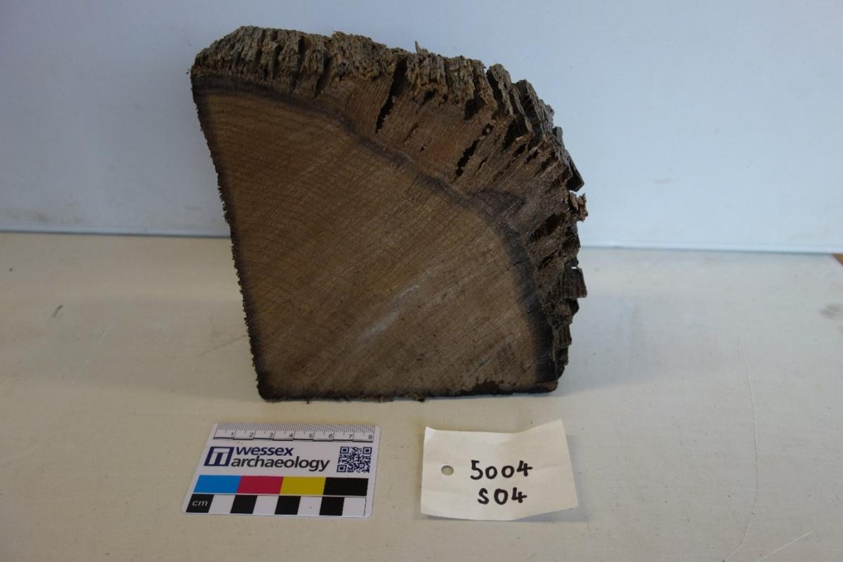 Cross-sectional samples taken from timbers of the Denge Wreck used for Dendrochronology