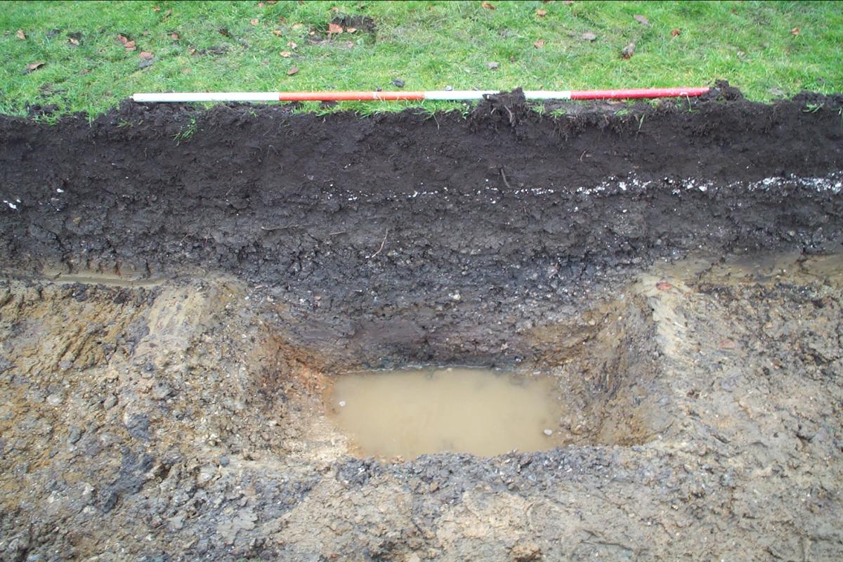 An early Anglo Saxon ditch found during excavation