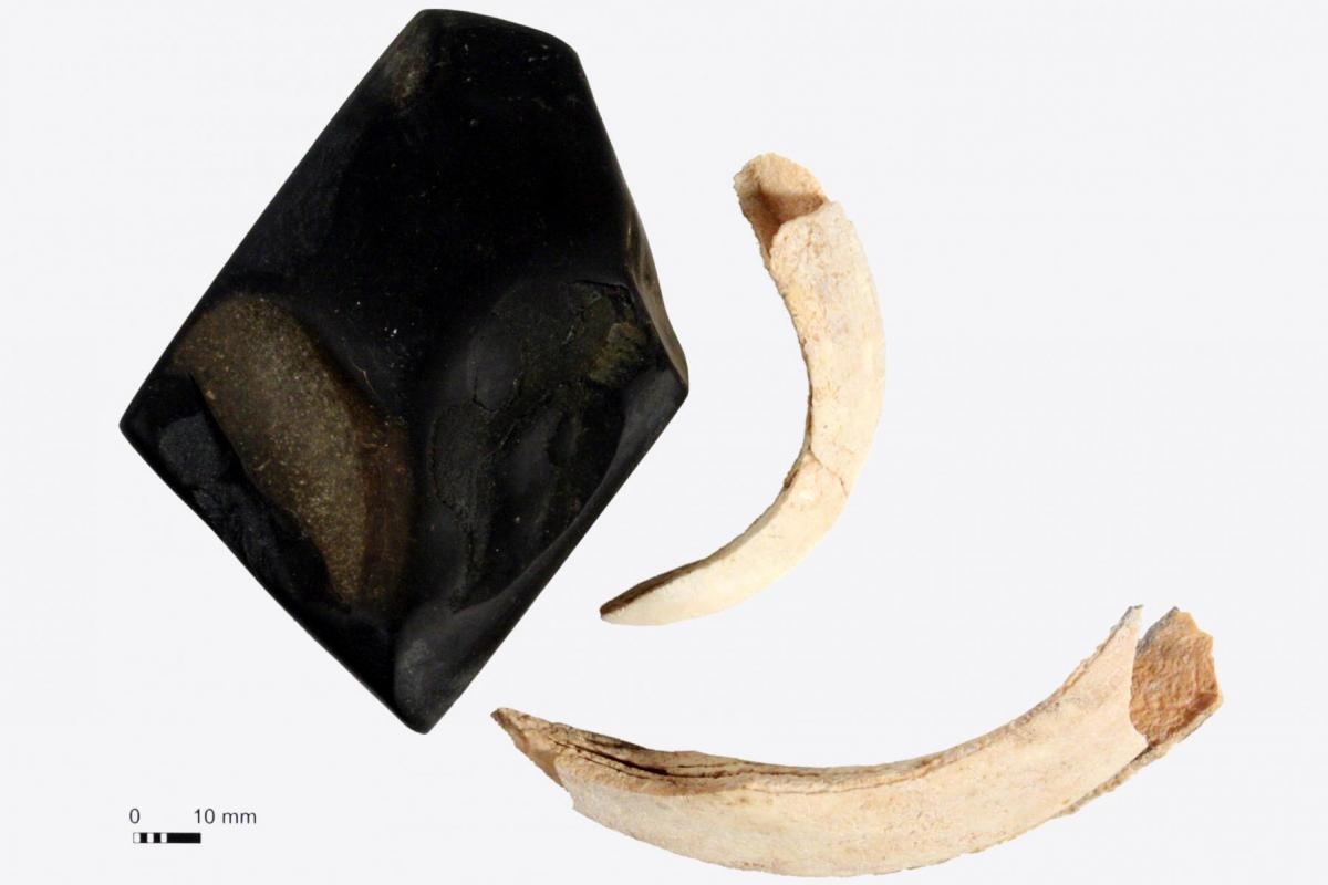 The Amesbury Archer Our Work Wessex Archaeology