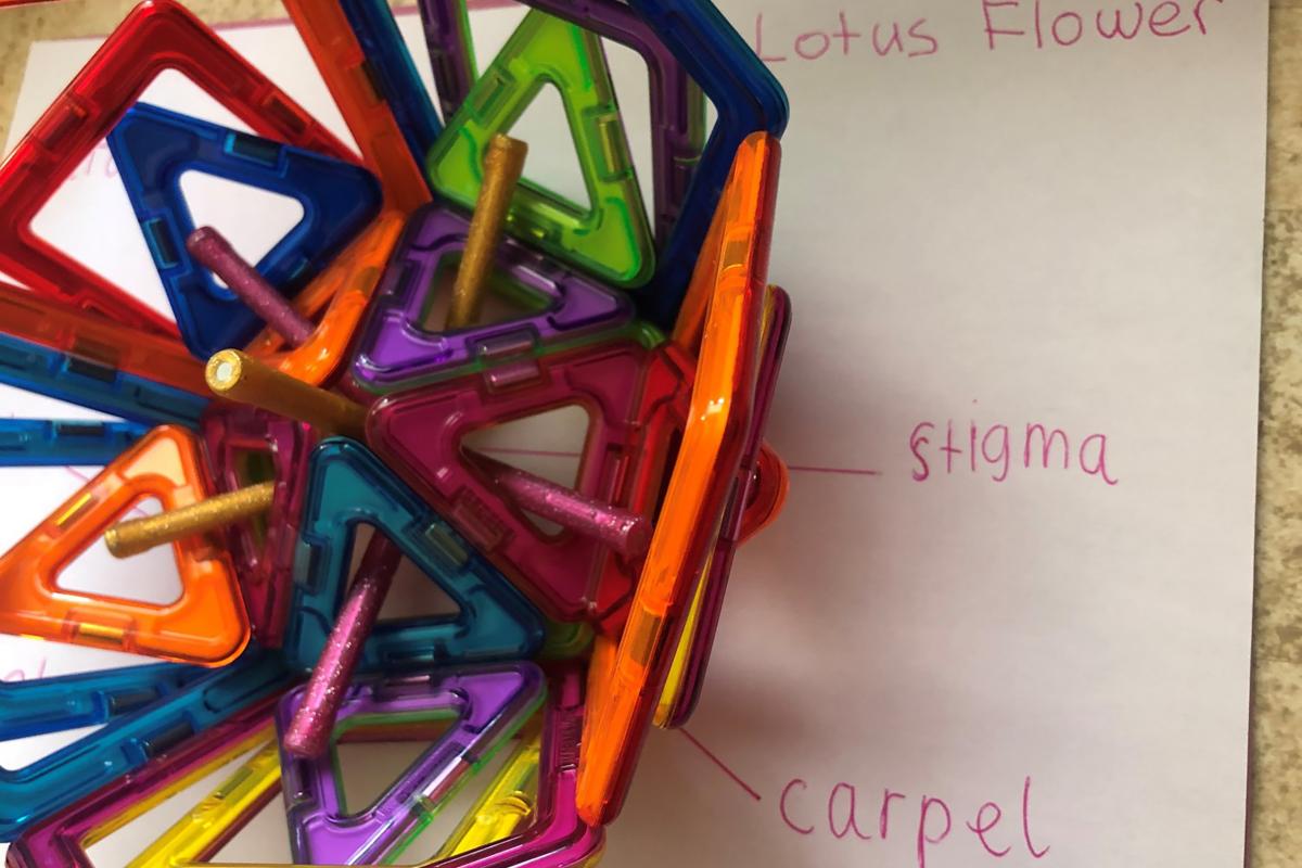 Lost and Found Sheffield Young Archaeologists Club YAC creative