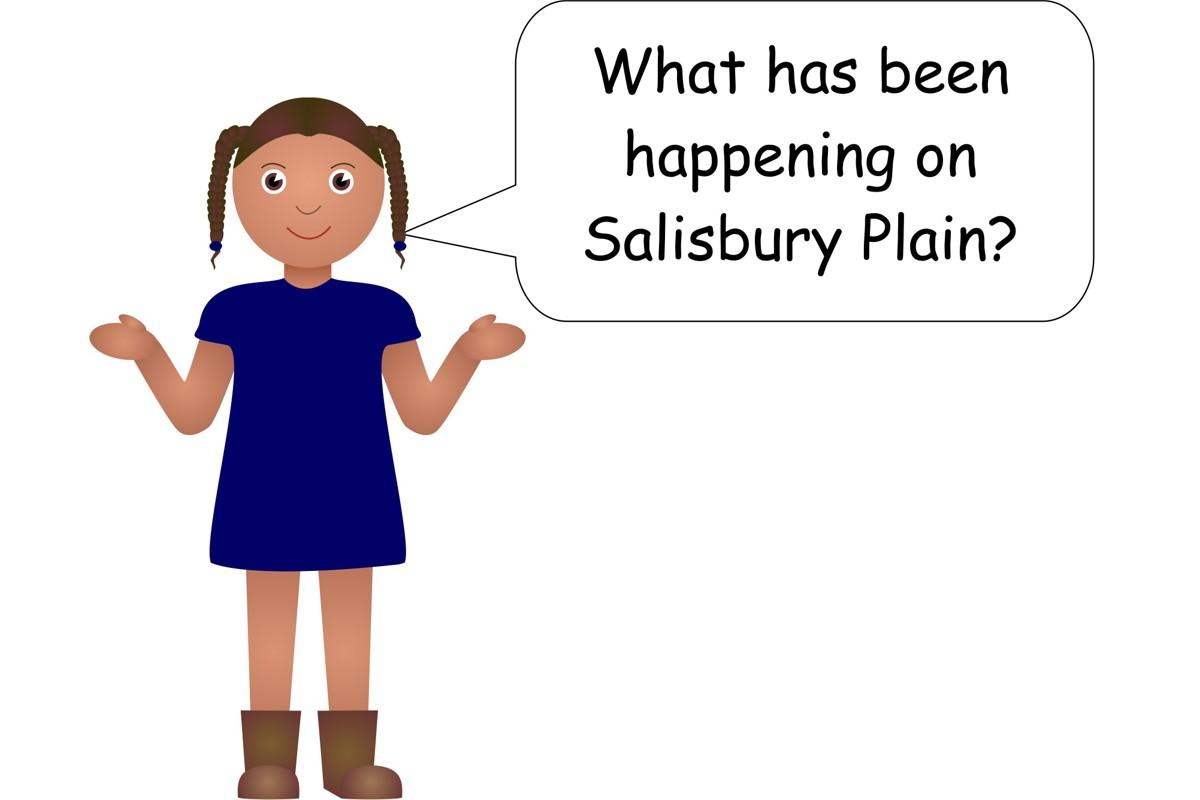 What is happening on Salisbury Plain - cartoon