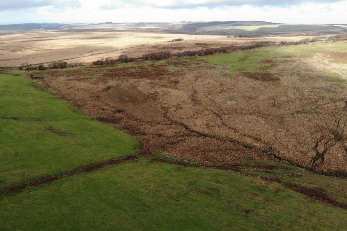 Alderman's Barrow Allotment pre-restoration, in October 2022. Credit SWPP. 