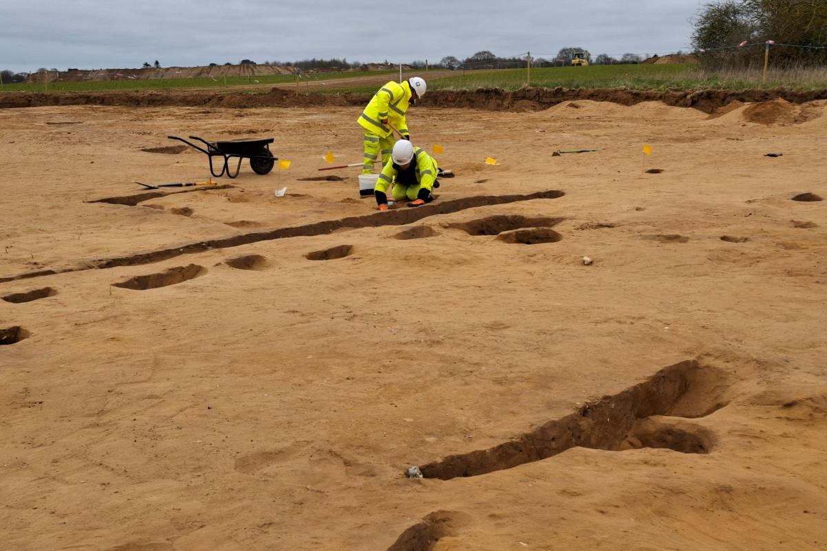 Archaeologists excavate post holes and beam slots from Anglo-Saxon longhouses.