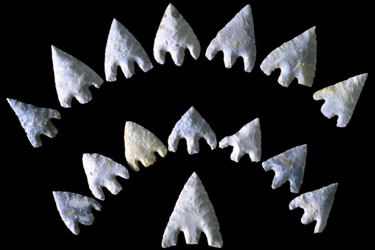 Flint barb and tang arrowheads from the Amebury Archer grave