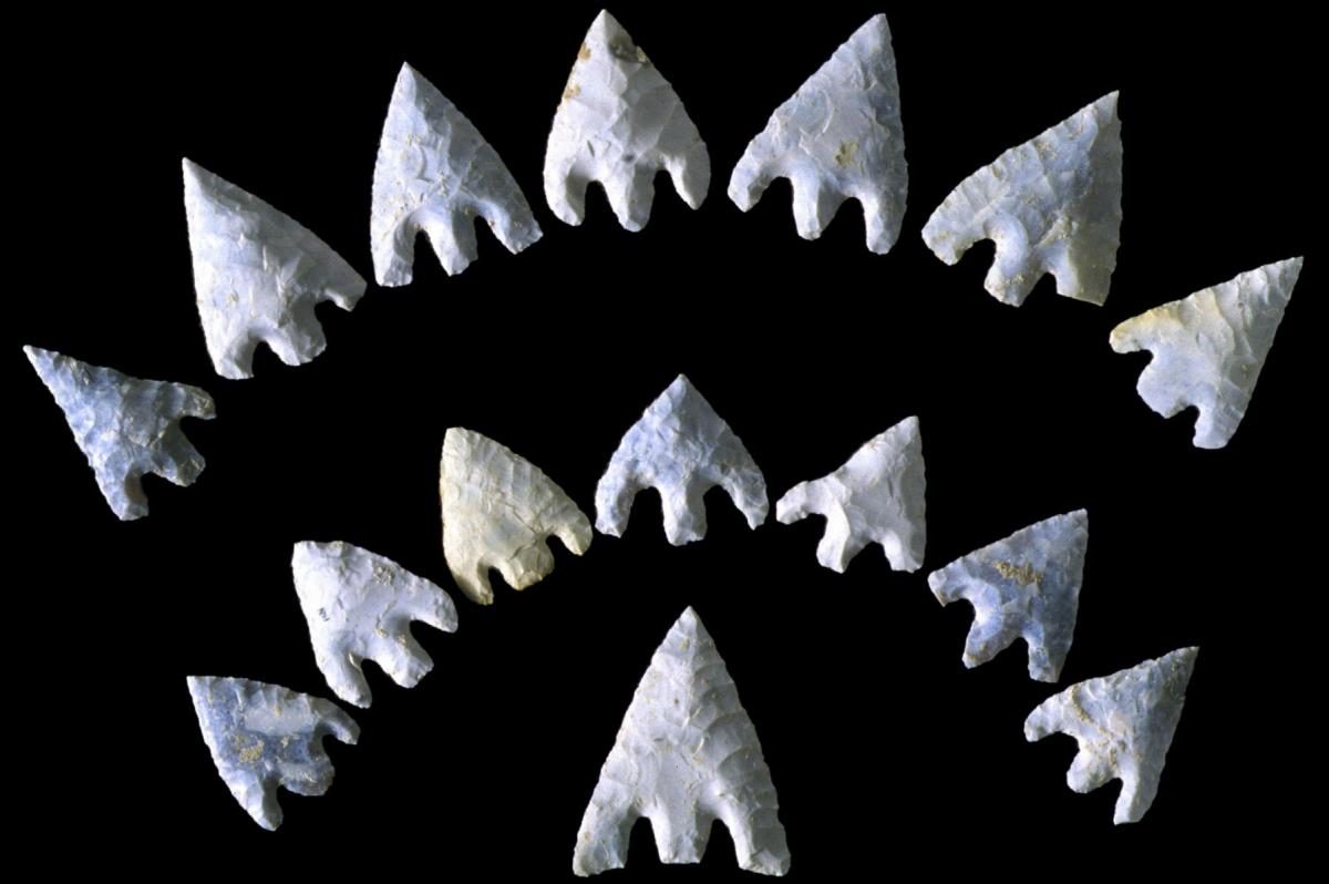 Set of flint arrowheads recovered from the archer grave at Amesbury Down