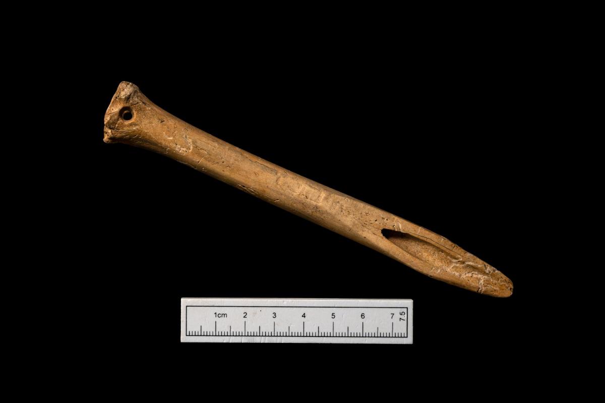 Complete worked bone point 