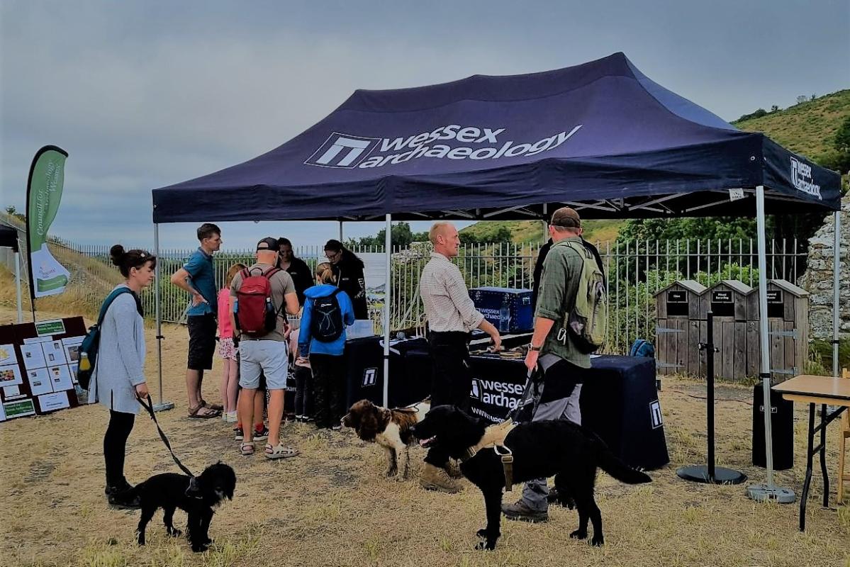 Dogs attending the Wessex Archaeology Community Engagement gazebo at Corfe Castle